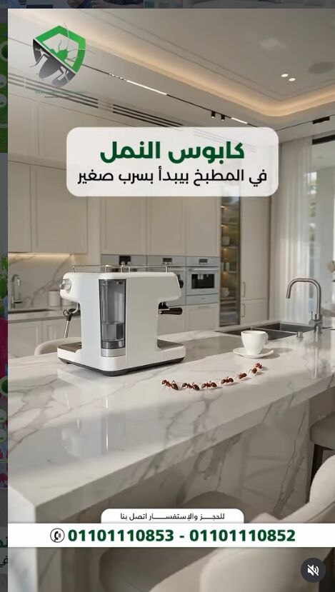 Nasr City, Pest Control, تخلص من النمل المؤذي في فصل الصيف مع الالما