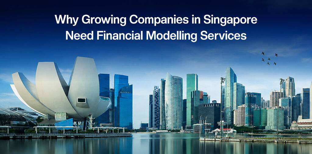 Singapore, Business, Why Growing Companies In Singapore Need Financial Modelling Services