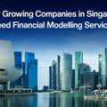 Why Growing Companies In Singapore Need Financial Modelling Services