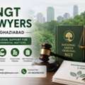 Why Should You Consult NGT Lawyers In Ghaziabad For Environmental Legal Matters?