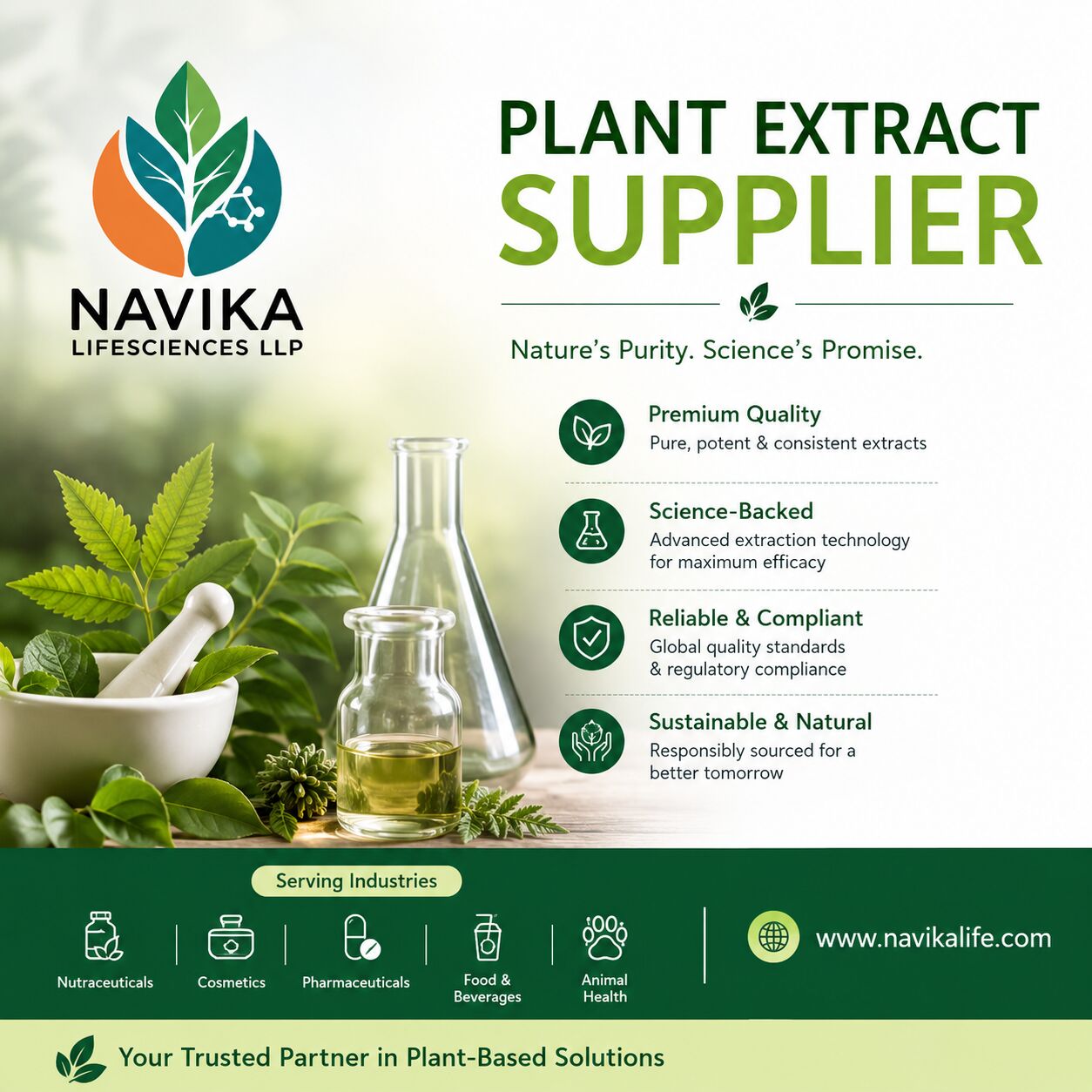 Mumbai, Health, Medicinal Plant & Herbal Extracts | Navika Lifesciences