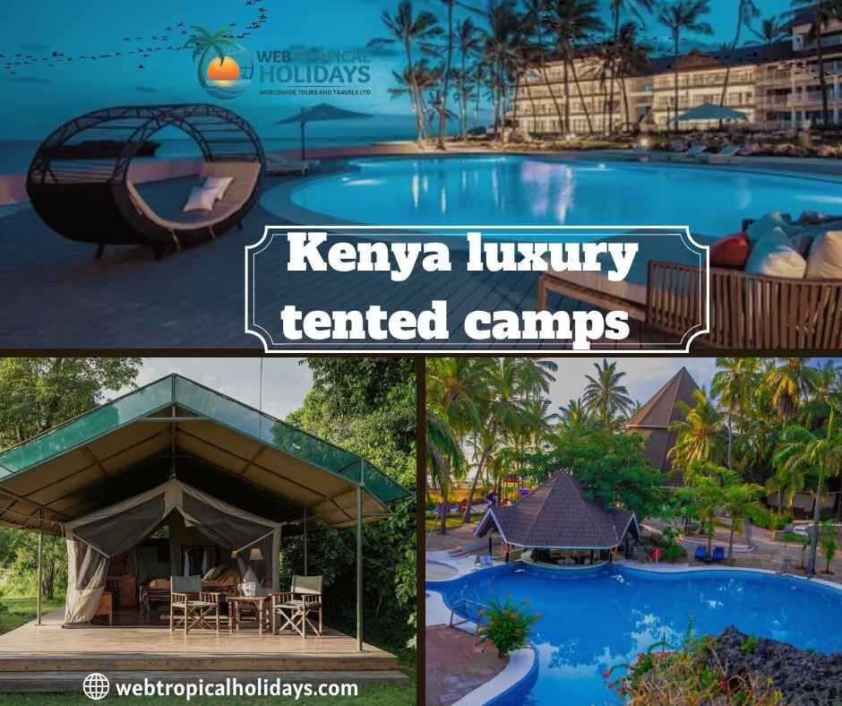 Nairobi, Travel, Luxury Tented Camp Safari | Kenya Wildlife Trips