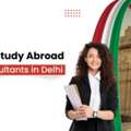 Study Abroad Consultants In Delhi Guide