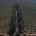 Buy Agricultural Land In Maharashtra: Understanding Ownership And Eligibility
