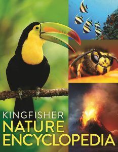 New Delhi, Books, INR 254,  Shop Story Books Online At Om Books Chennai And Delhi