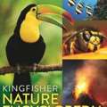 INR 254,  Shop Story Books Online At Om Books Chennai And Delhi's Best Book Store