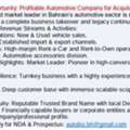 Business Investment In A Profitable Automotive Company