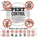 Pest Control And Termite Services