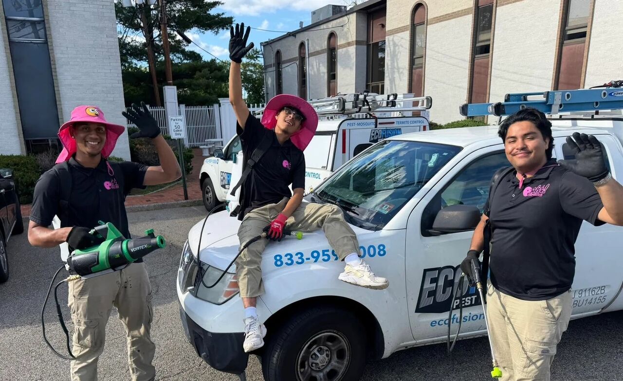 New York, Pest Control, EcoFusion Pest Control