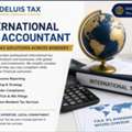 International Tax Accountant &ndash; Expert Cross-Border Tax Support