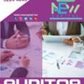 Auditor Financial Statement