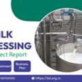 Milk Processing Plant &ndash; Machinery, Cost & Business Planning 2026