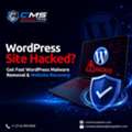 WordPress Site Hacked? Get Fast WordPress Malware Removal & Website Recovery