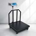 Industrial Weighing Scale In Madurai