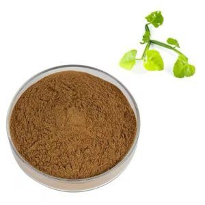Mumbai, Health & Beauty Items, Cissus Extract (10% To 40%) Ketosterones Manufacturers In India