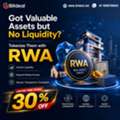 Got Valuable Assets But No Liquidity? Tokenize Them With RWA: 30% OFF