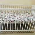 SAR 360,  Baby Cot