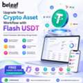 USD 5000,  Upgrade Your Crypto Asset Workflow With Flash USDT