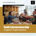 Youth Entrepreneurship Support Organizations