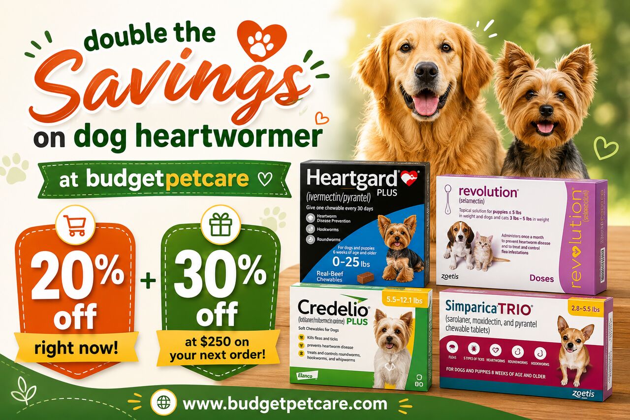 New York, Pet Supplies, Double The Savings On Dog Heartwormer At BudgetPetCare