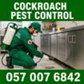 🟢🟢🟢 COCKROACH PEST CONTROL JUBAIL 🟢 057 007 6842 🟢🟢🟢
