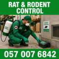 🟢🟢🟢 RAT & RODENT CONTROL JUBAIL 🟢 057 007 6842 🟢🟢🟢