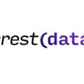 Scale Your Observability With Splunk Managed Services | Crest Data
