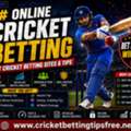 What Is Online Cricket Betting And How Does It Work?