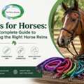 Reins For Horses: Guide To Choosing The Right Horse Reins &ndash; The Epic Animal