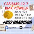 AFN 99,  Certificated BMK 5449-12-7 Sodium Salt Factory Supply