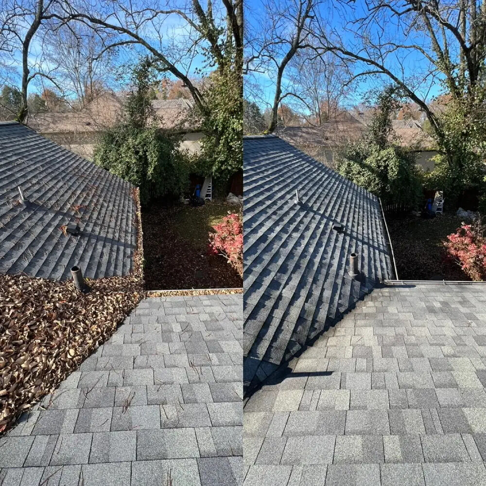 New York, Cleaning, Nashville Soft Wash Pros