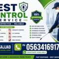 # Professional Save Pest Control Spray With Best Price Service Total 0563416917