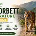 Jim Corbett Temperature In April 2026  &mdash;  What's The Weather Actually Like