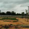 INR 28999,  250 Sq. Yard,  Hmda & Rera Approved Open Plots For Sale Near Maheshwaram