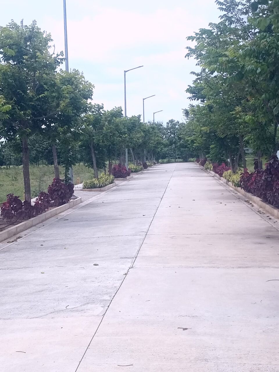Hyderabad, Residential Plots, INR 23000,  260 Sq. Yard,  HMDA & RERA FINAL APPROVED Open Plots For Sale @ Maheshwaram