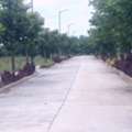 INR 23000,  260 Sq. Yard,  HMDA & RERA FINAL APPROVED Open Plots For Sale @ Maheshwaram