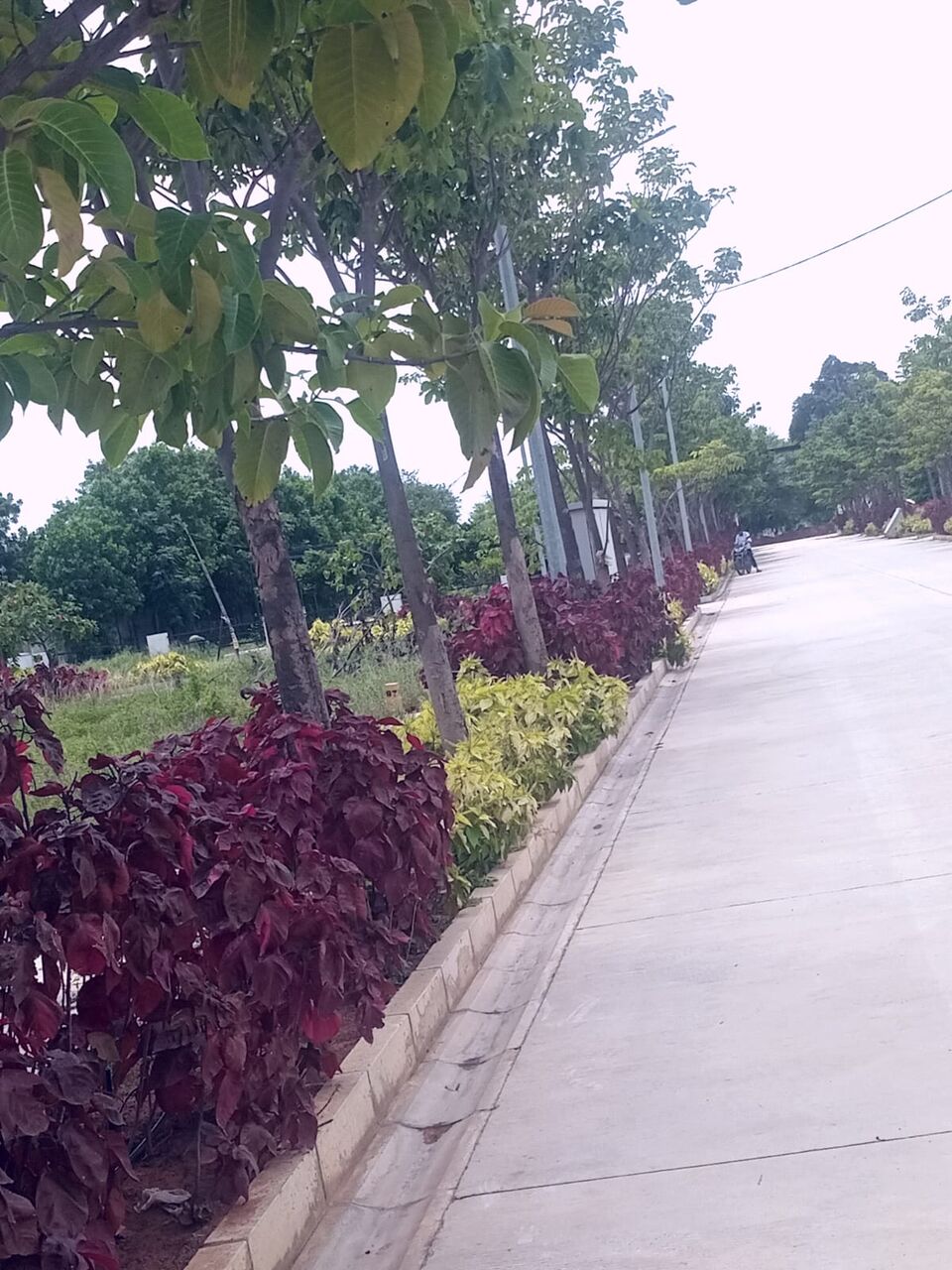 Hyderabad, Residential Plots, INR 23000,  260 Sq. Yard,  HMDA & RERA FINAL APPROVED Open Plots For Sale @ Maheshwaram