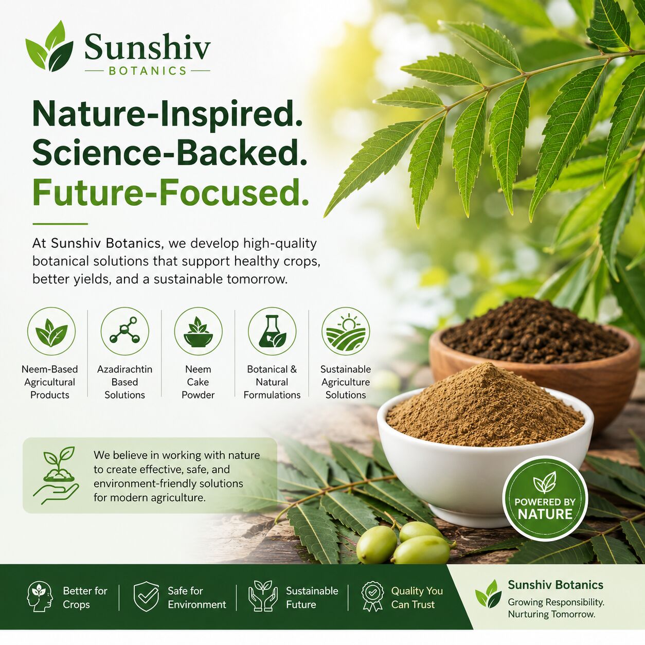 Faridabad, Farm & Garden, Azadirachtin Technical Powder Manufacturers In India | Premium Neem-Based Technical Powder