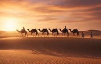 Muscat, Travel, Desert Tent In Oman | Safari Desert Camp