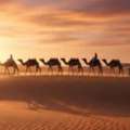 Desert Tent In Oman | Safari Desert Camp