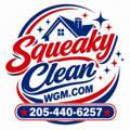 Window Cleaning Birmingham AL - Squeaky Clean Windows, Gutters & More