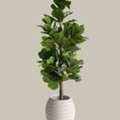 Faux Fidle Leaf Fig Tree