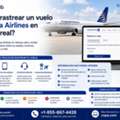 ¿Cómo Seguir Un Vuelo De Copa Airlines Durante El Viaje?
