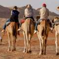 Camel Safari Oman | 5-Day Desert Adventure