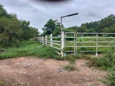 Bangkok, Real Estate For Sale, THB 450000,  6 BR,  8433 Sq. Feet,  Land For Sale In Phanat Nikhom Chonburi. Land For Sale 21 Rai 33 Square Wah. Very