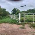 THB 450000,  6 BR,  8433 Sq. Feet,  Land For Sale In Phanat Nikhom Chonburi. Land For Sale 21 Rai 33 Square Wah. Very