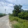 THB 4000000,  6 BR,  400 Sq. Feet,  Land, Bang Sao Thong Subdistrict, Bang Sao Thong District, Samut Prakan, Area 1 Rai.