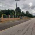 THB 1200000,  6 BR,  1411 Sq. Feet,  Land For Sale 3-2-11 Rai, Reduced To 1.2 Million Baht, Electricity, Water, Mango Orchard,