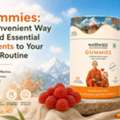 INR 1,  Sea Buckthorn Gummies: A Convenient Way To Add Essential Nutrients