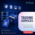 Empower Your Data Journey With EnFuse Solutions&rsquo; Expert Tagging Services